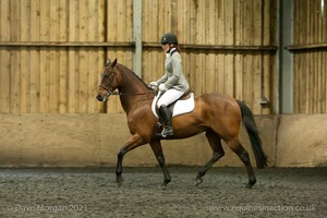 Isis Dressage Crown Farm Show 29th April 2012